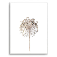 Load image into Gallery viewer, Neutral Dandelion | Art Print
