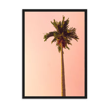 Load image into Gallery viewer, Sunset Palm Tree | Framed Print
