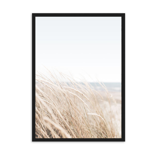 Coastal Pampas Beach | Framed Print