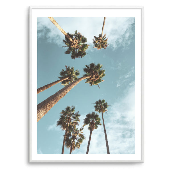 LA Palm Trees III | Art Print