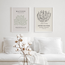 Load image into Gallery viewer, Matisse Neutral I Set of 2 | Gallery Wall
