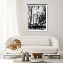 Load image into Gallery viewer, Forrest Black &amp; White | Art Print
