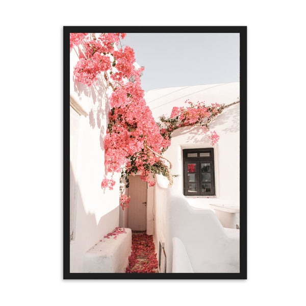Greece Santorini Bougainvillaea I | Framed Print