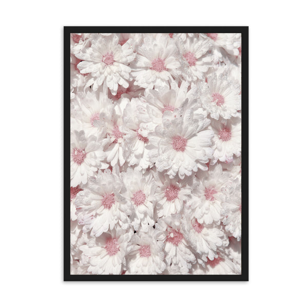 Daisies | Framed Print