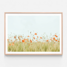 Load image into Gallery viewer, Poppies Landscape | Art Print
