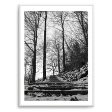 Load image into Gallery viewer, Forrest Black &amp; White | Art Print
