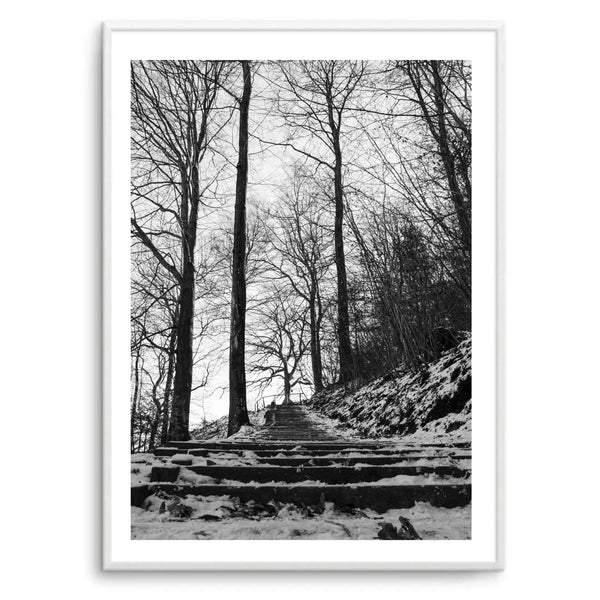 Forrest Black & White | Art Print