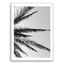 Load image into Gallery viewer, Black &amp; White Palm | Art Print
