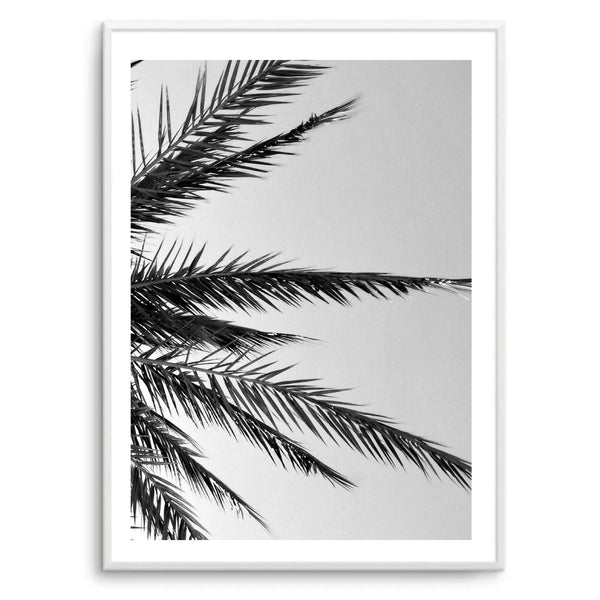 Black & White Palm | Art Print