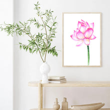 Load image into Gallery viewer, Pink Lotus Stem I | Art Print
