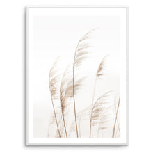 Load image into Gallery viewer, Pampas | Art Print
