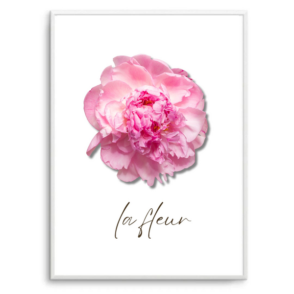La Fleur IX | Art Print