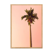 Load image into Gallery viewer, Sunset Palm Tree | Framed Print
