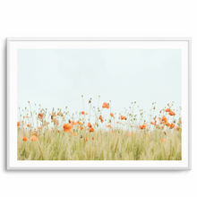 Load image into Gallery viewer, Poppies Landscape | Art Print
