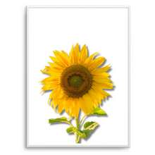 Load image into Gallery viewer, Sunflower | Art Print
