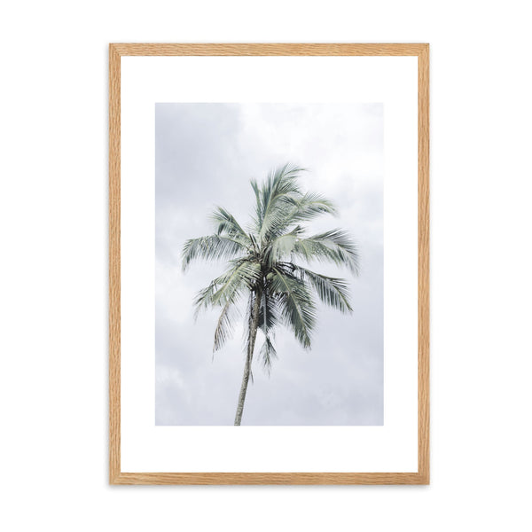 Palm Tree I | Framed Print