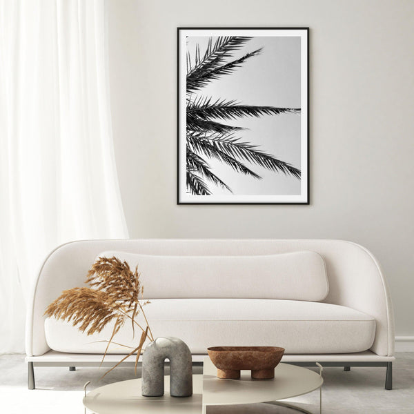 Black & White Palm | Art Print