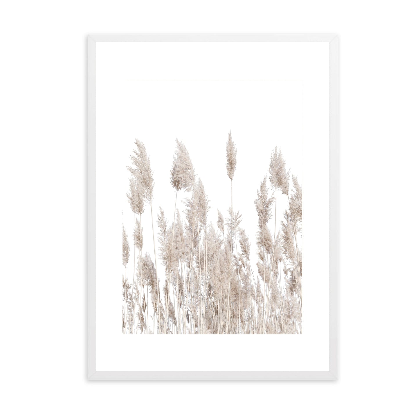 Neutral Pampas I | Framed Print