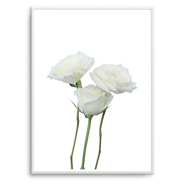 White Stem Roses II | Art Print