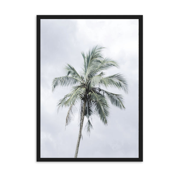 Palm Tree I | Framed Print