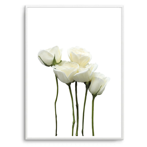 White Stem Roses I | Art Print