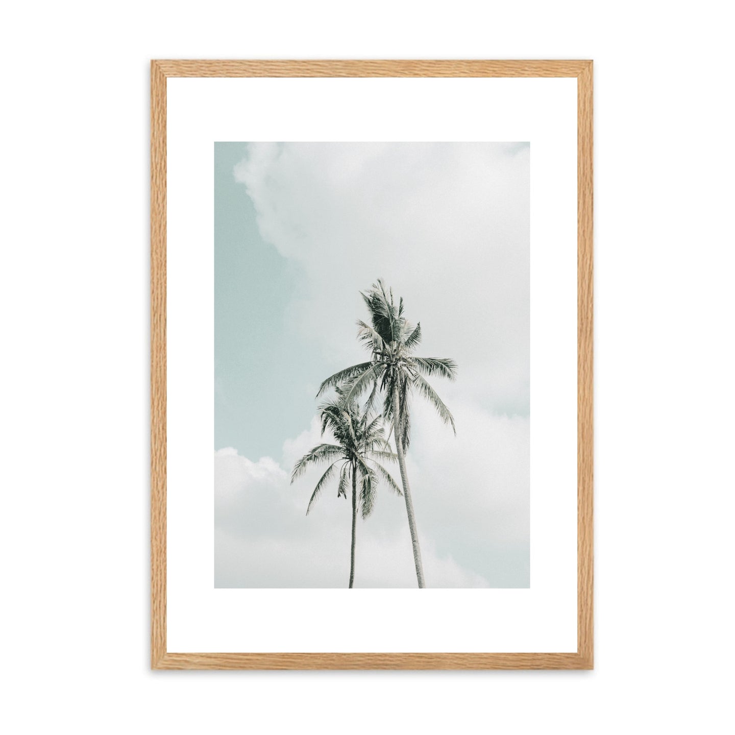 Palm Tree II | Framed Print
