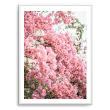 Load image into Gallery viewer, Bougainvillea Flowers I | Art Print
