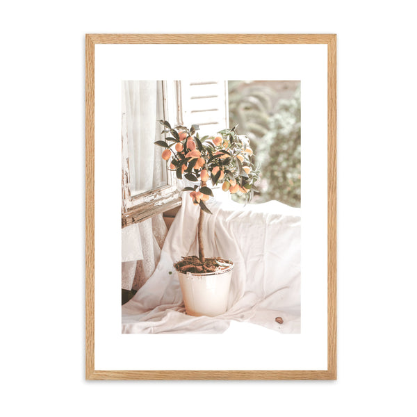French Country Orange Tree | Framed Print