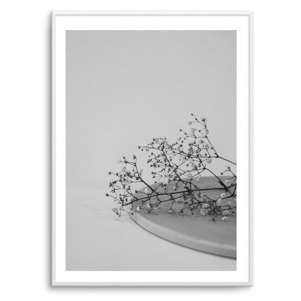 Baby’s Breathe Black & White | Art Print