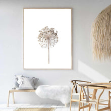 Load image into Gallery viewer, Neutral Dandelion | Framed Print
