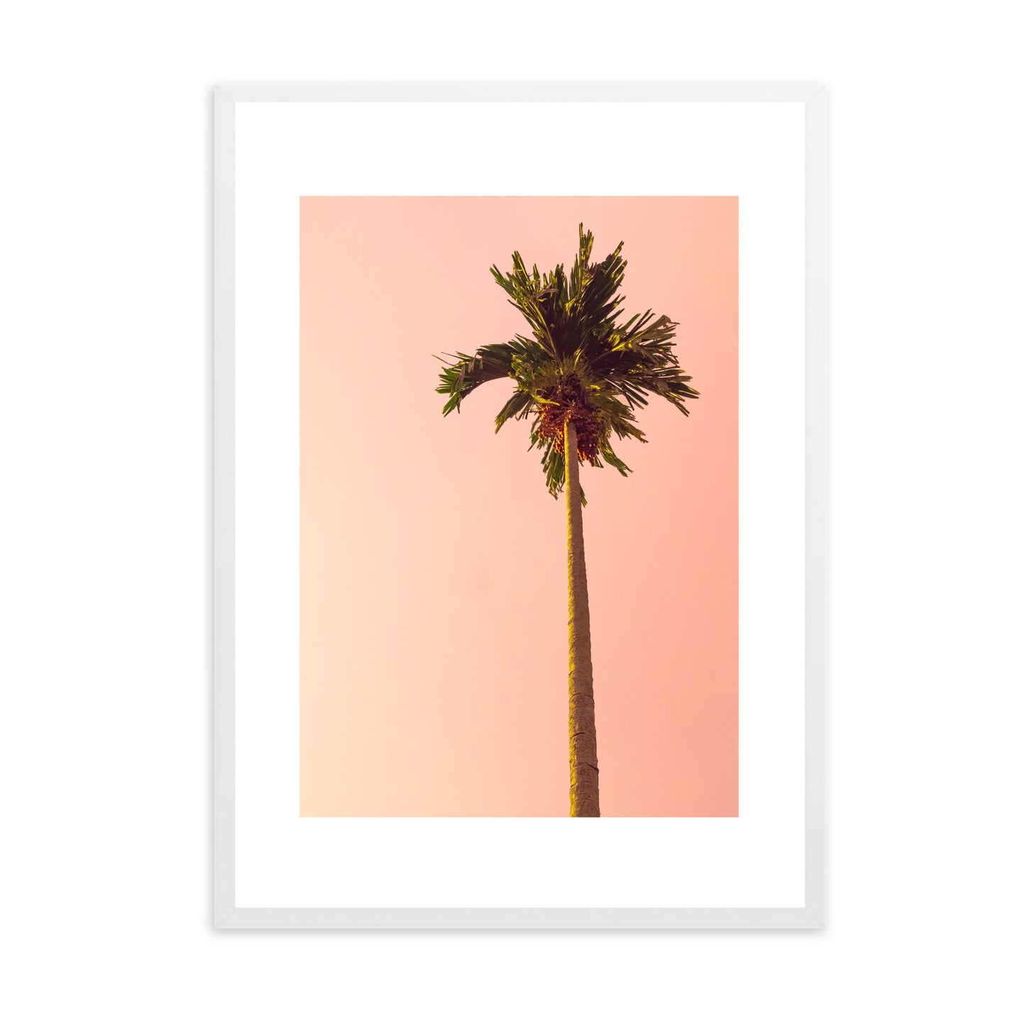 Sunset Palm Tree | Framed Print