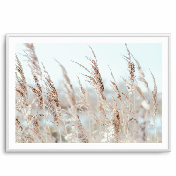 Pampas II Landscape | Art Print