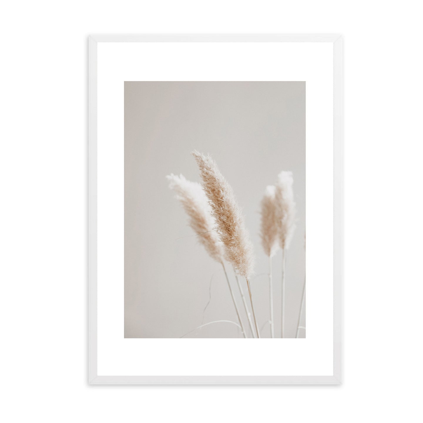 Neutral Aesthetic Pampas | Framed Print