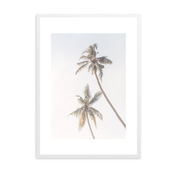 Coastal Palm Tree | Framed Print