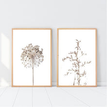 Load image into Gallery viewer, Neutral Dandelion III Set of 2
