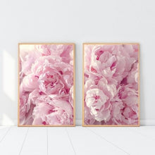 Load image into Gallery viewer, Peonies Pink Set of 2
