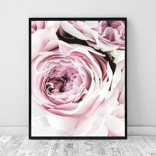 Peony Pink II