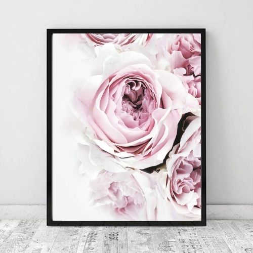 Peony Pink I