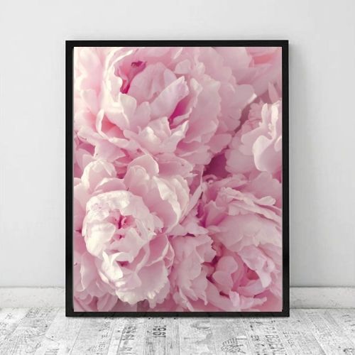 Peony Pink IV