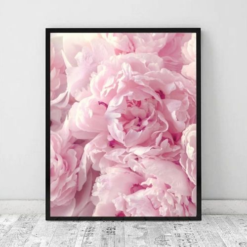 Peony Pink III