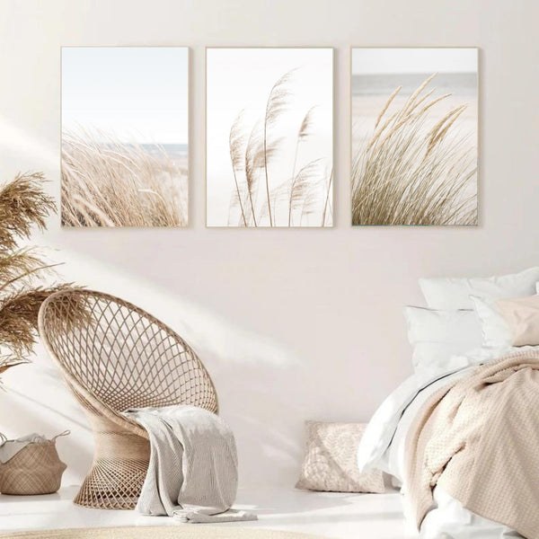 Pampas Set of 3 | Gallery Wall