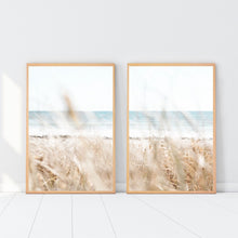 Load image into Gallery viewer, Pampas Set of 2
